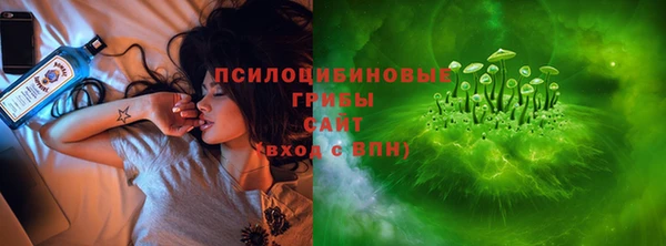 ешки Богородицк