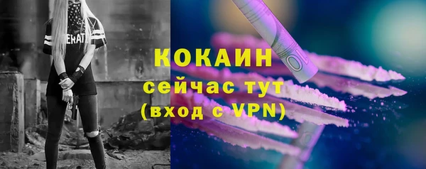 ешки Богородицк