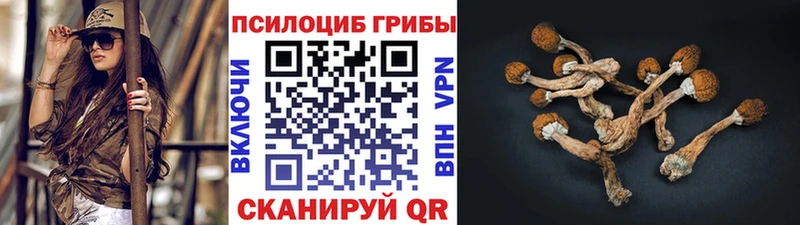 Галлюциногенные грибы Psilocybine cubensis  где найти   Дивногорск 